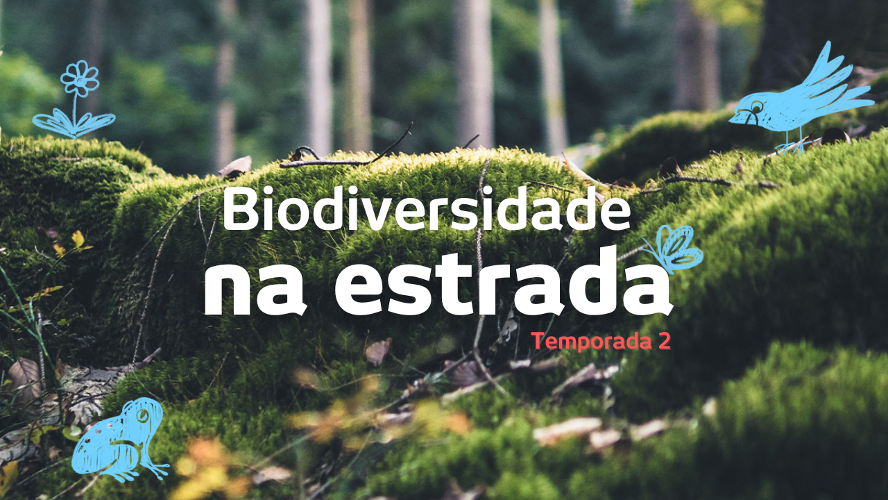 1º Episódio - Biodiversidade - Sensibilizar para proteger