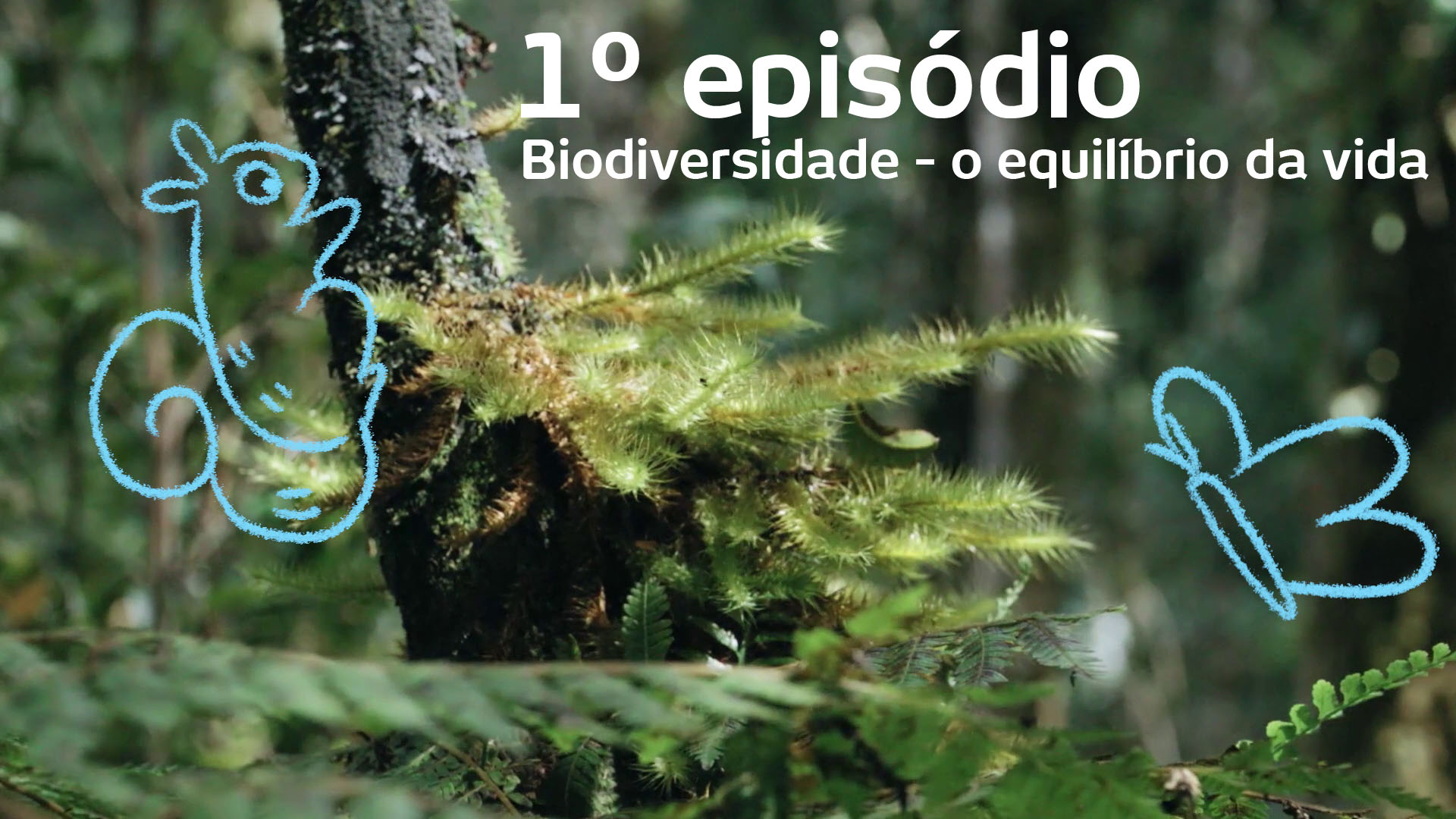 1º Episódio - Biodiversidade – o equilíbrio da vida